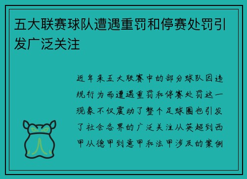 五大联赛球队遭遇重罚和停赛处罚引发广泛关注 